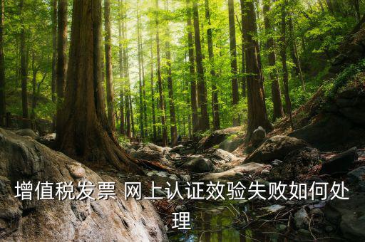 驗簽失敗的發(fā)票如何處理，發(fā)票驗舊錯誤 怎么辦