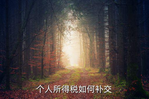 個稅如何補繳，個人所得稅如何補交