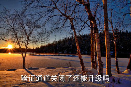 驗(yàn)證通道關(guān)閉了還能升級嗎