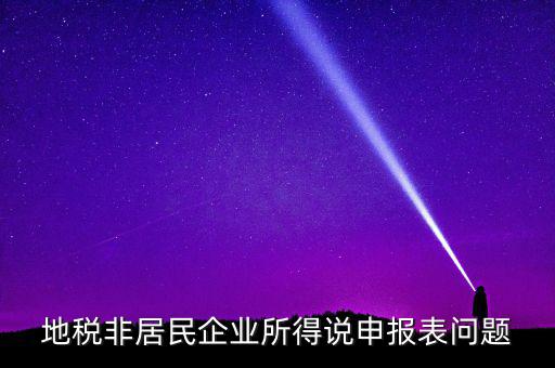 扣繳非居民所得稅報(bào)告表指什么，扣繳個(gè)人所得稅報(bào)告表30