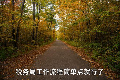 稅務(wù)局工作流程簡單點就行了