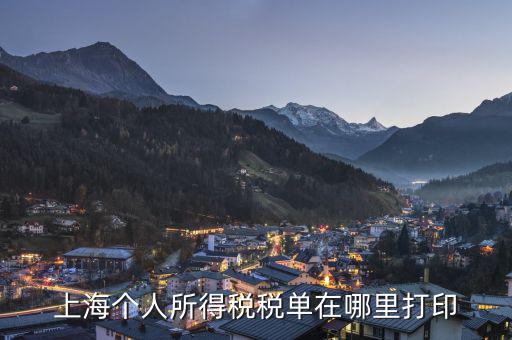 上海如何打印個稅證明，上海個人所得稅稅單在哪里打印