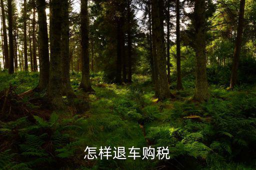 車輛購置稅如何退稅，怎么退車輛購置稅