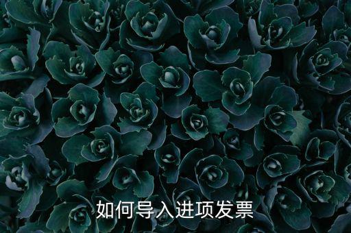如何導入發(fā)票，如何導入進項發(fā)票