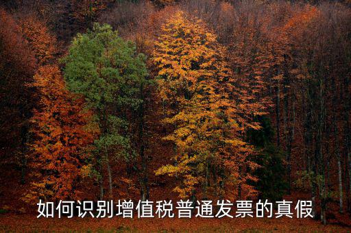 普票如何辨別真假，普通發(fā)票怎么查真?zhèn)?/></a></span><span id=