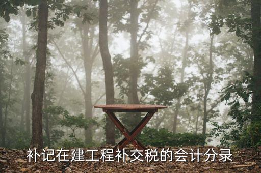 建筑業(yè)增值稅如何補(bǔ)繳，補(bǔ)記在建工程補(bǔ)交稅的會(huì)計(jì)分錄