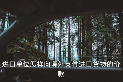 企業(yè)如何境外付款嗎，進(jìn)口單位怎樣向境外支付進(jìn)口貨物的價(jià)款