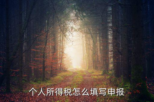 單位如何申報個人所得稅，個人所得稅 工資薪金所得 怎么申報