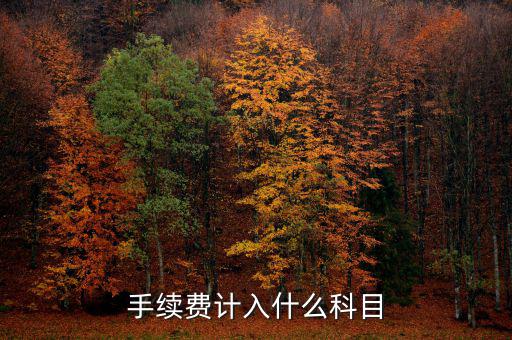 手續(xù)費(fèi)計入什么科目