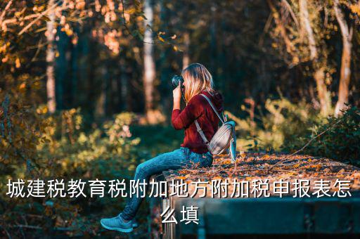 新城建稅附加表如何填，網(wǎng)上申報城建稅教育附加稅怎么填