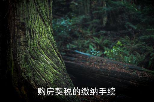 如何繳納契稅，購(gòu)房契稅的繳納手續(xù)