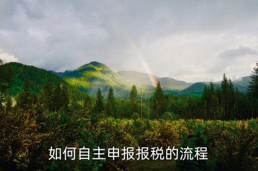 如何進行稅務(wù)申報，個體戶如何申報稅