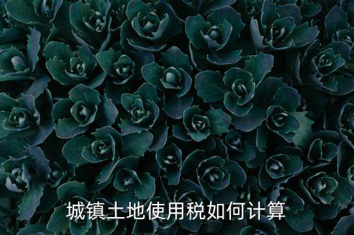 城鎮(zhèn)土地使用稅如何計算