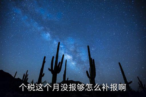 如何補報個人所得稅，個人所得稅報錯了怎么補報