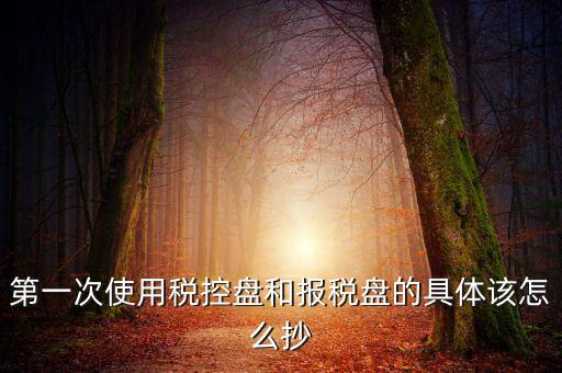 第一次使用稅控盤(pán)和報(bào)稅盤(pán)的具體該怎么抄