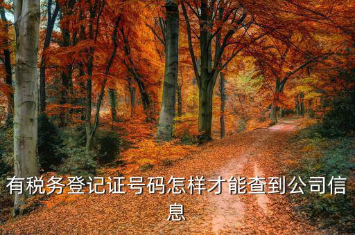 如何查詢公司稅務(wù)信息，怎么用稅證號碼查詢企業(yè)信息