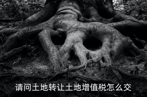 土地增值稅如何繳納，請(qǐng)問(wèn)土地轉(zhuǎn)讓土地增值稅怎么交