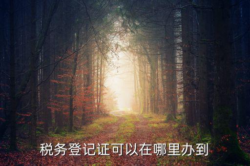 如何辦理稅種登記，辦好營(yíng)業(yè)執(zhí)照后怎么辦理稅務(wù)登記證