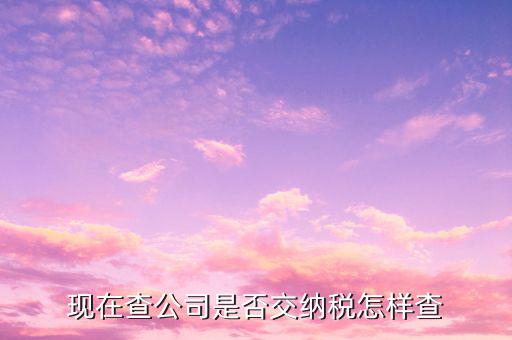 現在查公司是否交納稅怎樣查