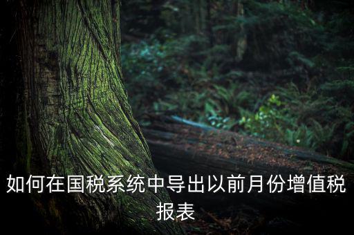 如何導(dǎo)出增值稅申報(bào)表，如何在國稅系統(tǒng)中導(dǎo)出以前月份增值稅報(bào)表