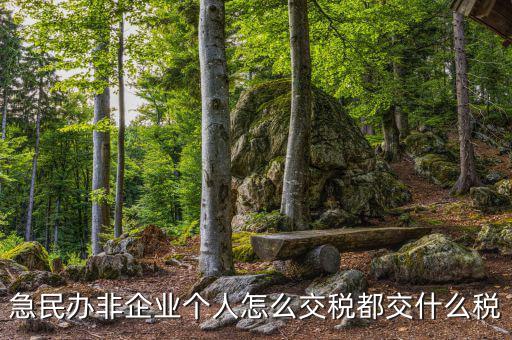 民非企業(yè)如何納稅申報(bào)，民辦非企業(yè)單位如何繳納個(gè)人所得稅