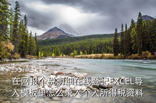 北京個(gè)稅明細(xì)申報(bào)如何導(dǎo)入，在網(wǎng)報(bào)個(gè)稅明細(xì)在線登記EXCEL導(dǎo)入模板里怎么錄入個(gè)人所得稅資料