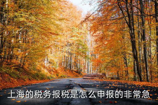 上海市國地稅如何申報(bào)，上海地稅是網(wǎng)上報(bào)稅嗎采取什么方式申報(bào)