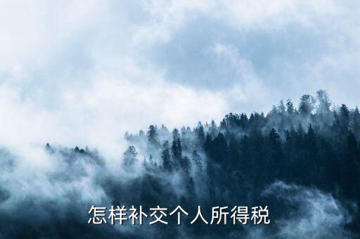 如何補交個人所得稅，如何用個人所得稅扣繳系統(tǒng)補繳稅款