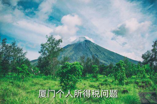 廈門企業(yè)個(gè)稅如何申報(bào)，廈門個(gè)人所得稅問題
