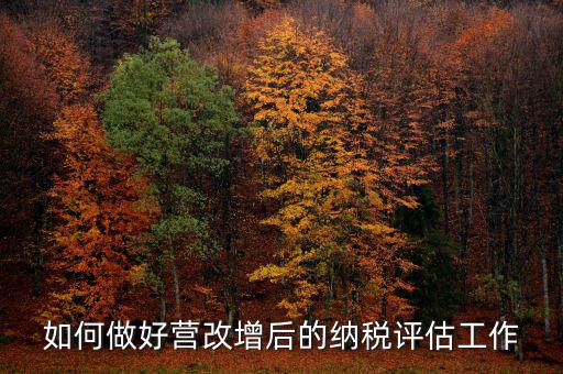 如何做好納稅評估，企業(yè)納稅評估的方式方法