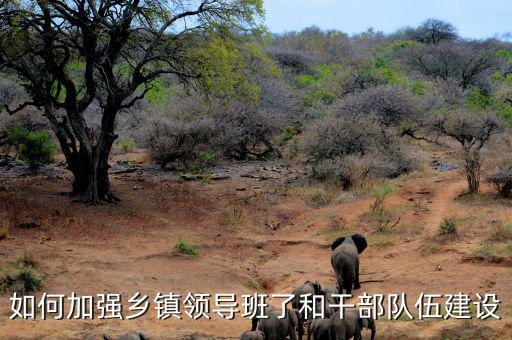 如何加強鄉(xiāng)鎮(zhèn)領(lǐng)導班了和干部隊伍建設(shè)