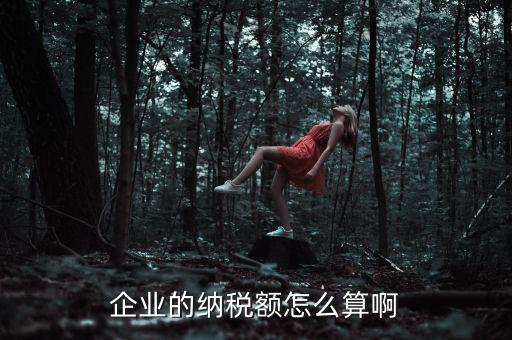 企業(yè)納稅如何計(jì)算，企業(yè)的納稅額怎么算啊