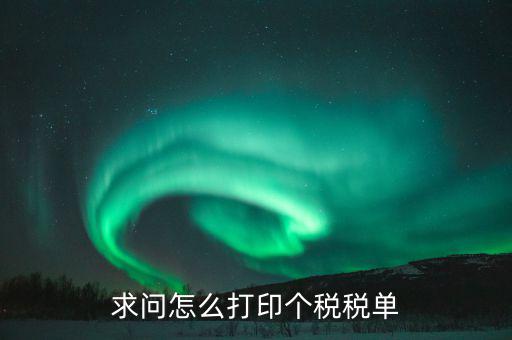 求問怎么打印個(gè)稅稅單