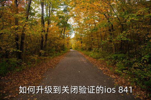 如何升級到關(guān)閉驗(yàn)證的ios 841
