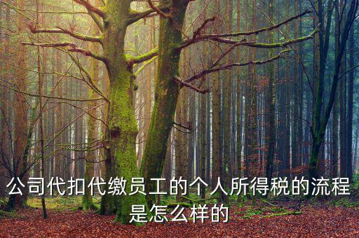 如何代扣代繳個(gè)人所得稅，代扣代繳個(gè)人所得稅