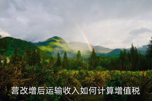 運(yùn)輸業(yè)增值稅如何計(jì)算，道路運(yùn)輸業(yè)的一般納稅人增值稅如何計(jì)算
