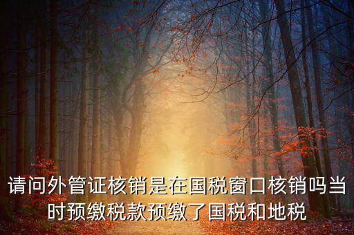 外管證如何核銷，發(fā)票已開外管證丟了怎么核銷
