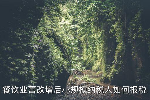 營改增后小規(guī)模納稅人如何報稅，營改增后小規(guī)模的怎么報稅