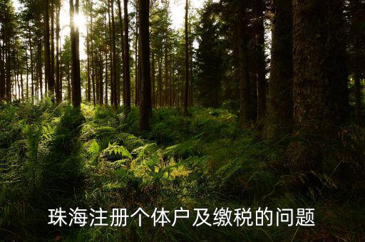 珠海稅票如何網上辦理，珠?？贪l(fā)票專用章程序