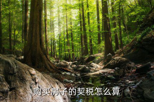 如何省契稅，契稅怎么算