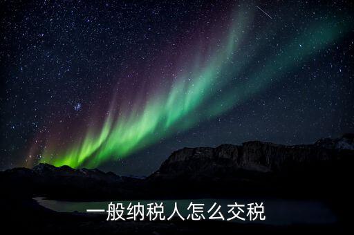 一般納稅人如何交稅，一般納稅人開普通發(fā)票怎么繳稅啊