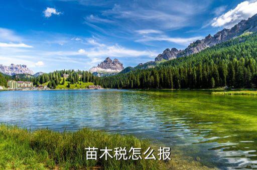 苗木增值稅免稅如何申報(bào)，苗木稅怎么報(bào)