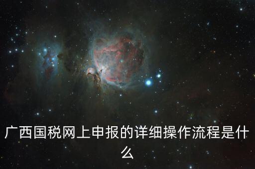 廣西國(guó)稅地稅如何網(wǎng)上申報(bào)系統(tǒng)，國(guó)稅網(wǎng)上怎么申報(bào)