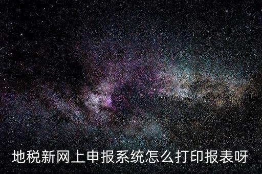 地稅新網上申報系統(tǒng)怎么打印報表呀
