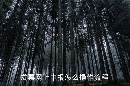 如何國稅局網(wǎng)上申請開票，如何登錄稅務(wù)網(wǎng)上開票