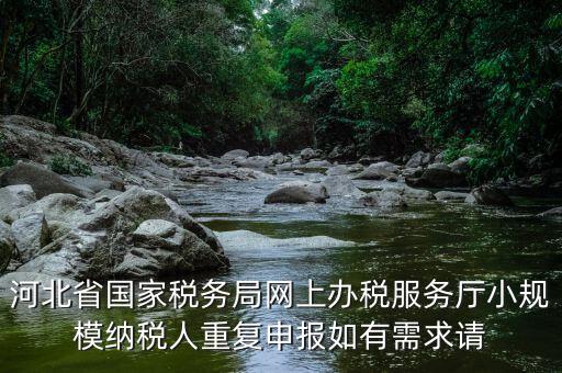 河北省國家稅務局網上辦稅服務廳小規(guī)模納稅人重復申報如有需求請