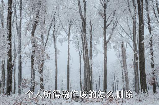 如何刪除已審核的地稅報表，已遞上的地稅網(wǎng)上財務(wù)報表系統(tǒng)的報表能否刪除