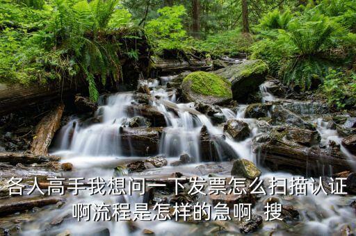 如何使用掃描儀認(rèn)證發(fā)票嗎，各人高手我想問(wèn)一下發(fā)票怎么掃描認(rèn)證啊流程是怎樣的急啊  搜