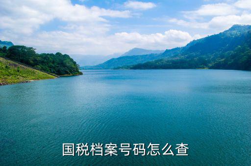 如何查地稅檔案，國(guó)稅檔案號(hào)碼怎么查