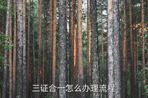 惠州市如何進行三證合一，三證合一怎么辦理流程